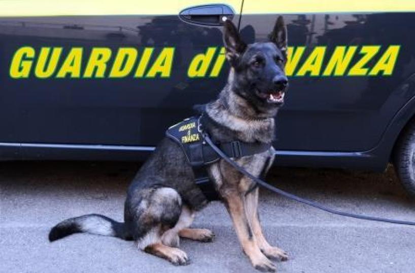 Lecce, la scia della droga dall'estate ad Halloween: segnalati in più di 300