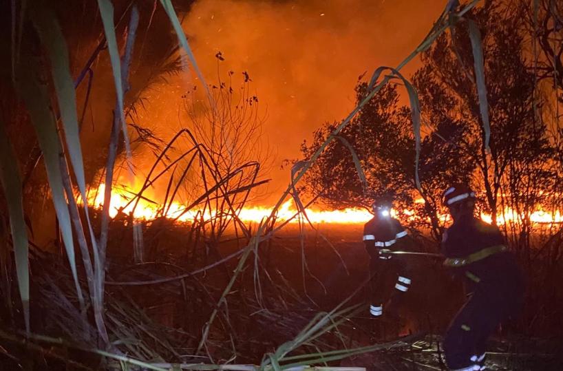 Maxi incendio nella riserva naturale de Le Cesine: fiamme partite dal bordo della strada