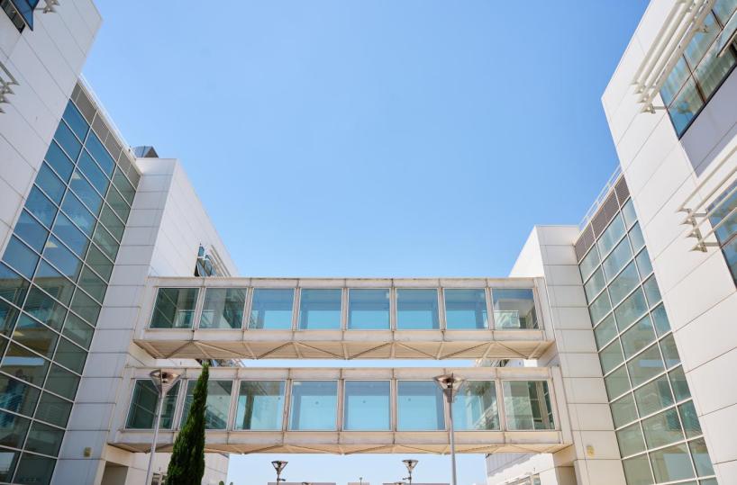 Foggia, l'Università di Medicina compie 25 anni: «Tra le prime realtà a livello nazionale»