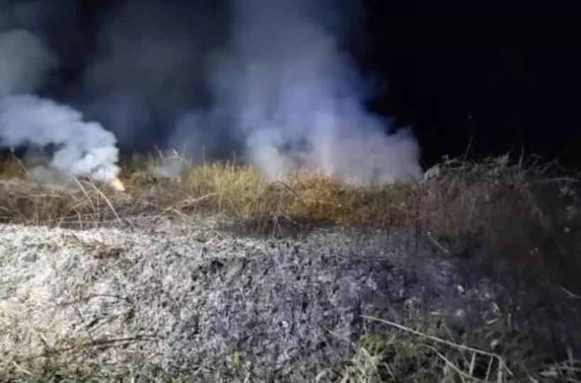 Torre Guaceto, in fiamme 300 metri quadri dell'aera: &laquo;temiamo sia un incendio di natura dolosa&raquo;