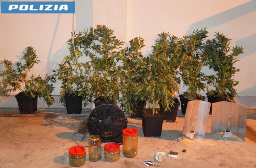 Taranto, nascondeva in casa una serra per la coltivazione di marijuana: 47enne arrestato