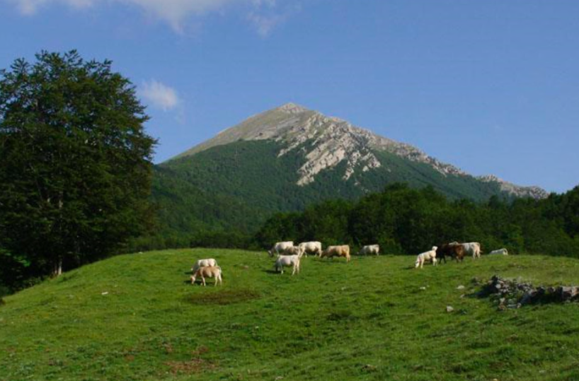 Basilicata, approvato il piano del «Parco del Pollino» atteso da 31 anni: ora va in consiglio regionale