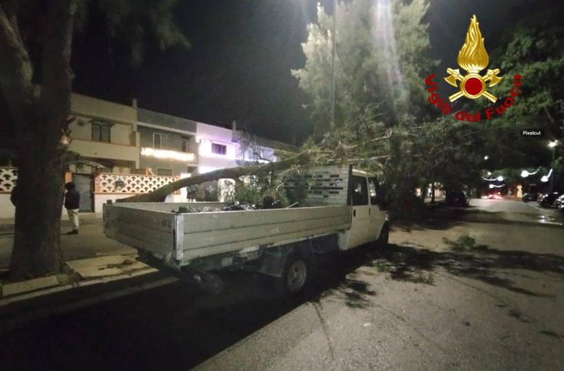 Surbo, grosso ramo si spezza e cade su un autocarro: nessun ferito