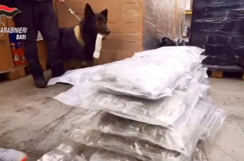Narcotraffico dalla Spagna, pene fino a 20 anni per 22 persone: condannato anche Cavallari jr.