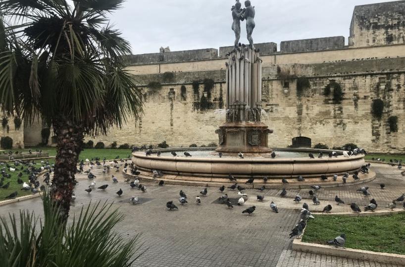 Lecce, troppi piccioni in città: a rischio bimbi e fragili