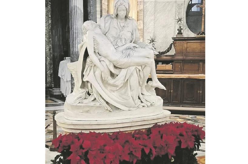 I fiori di Terlizzi abbelliscono il Santo Natale del Vaticano