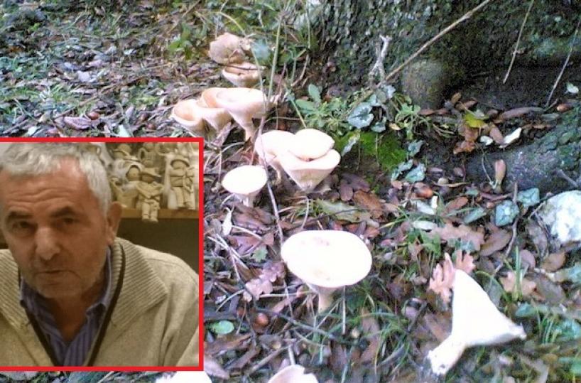 Va a cercare funghi sul Gargano, 78enne disperso nei boschi. Scattano le ricerche