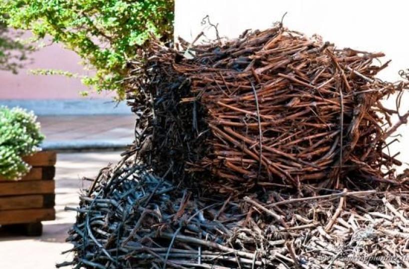 Manca la legna, Fòcara di Novoli a rischio: l'appello del sindaco ai cittadini