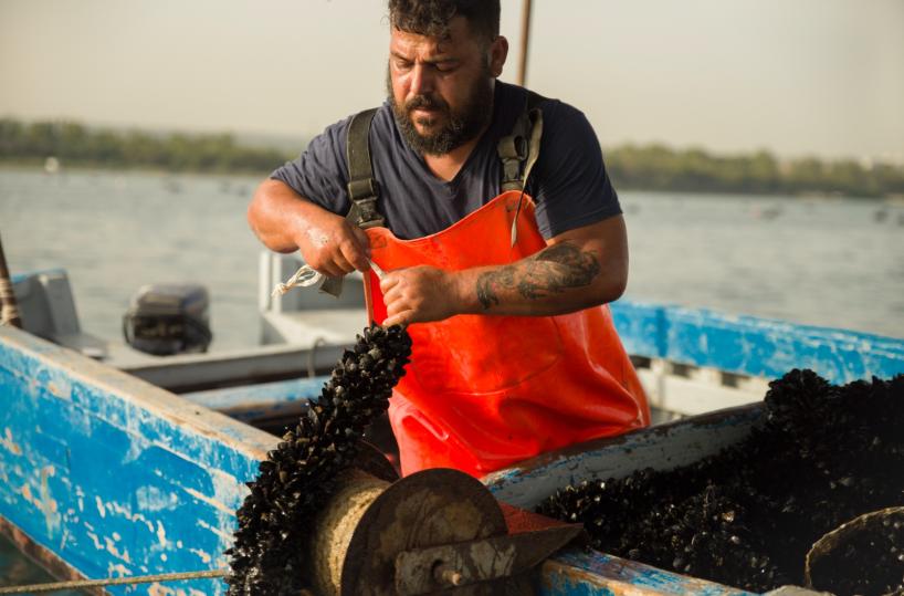 A Taranto cala l’acciaio e tornano le ostriche: il sogno del mitilicoltore Francesco diventa realtà