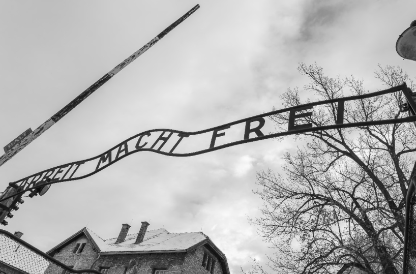 Rinnovare sempre la memoria della Shoah