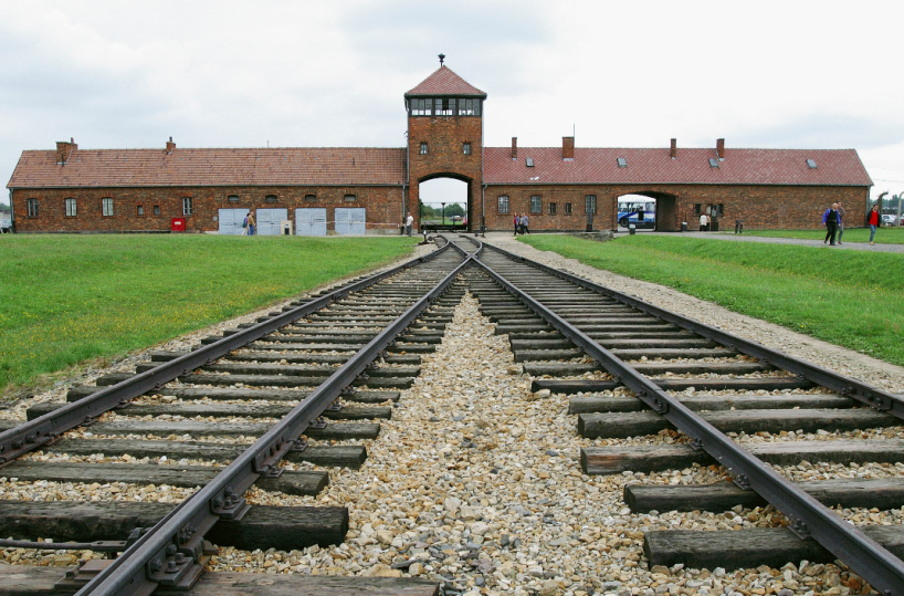 Giornata della Memoria 2025: eventi e iniziative sul territorio per non dimenticare