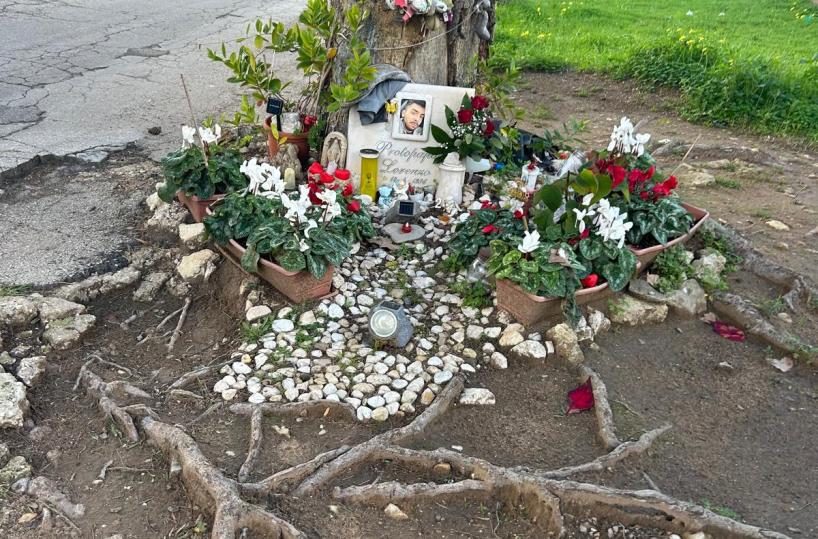 Morì a 21 anni schiantandosi con l'auto contro un pino: il comune di S.Pietro Vernotico risarcirà la famiglia