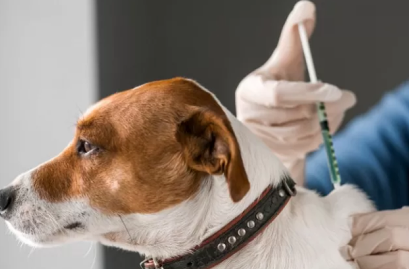 Il «miracolo» di Dado con l’ozonoterapia