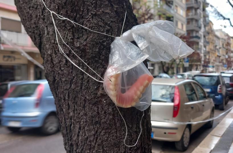 Bari, a Poggiofranco qualcuno ha perso una dentiera: i passanti l'hanno appesa a un albero