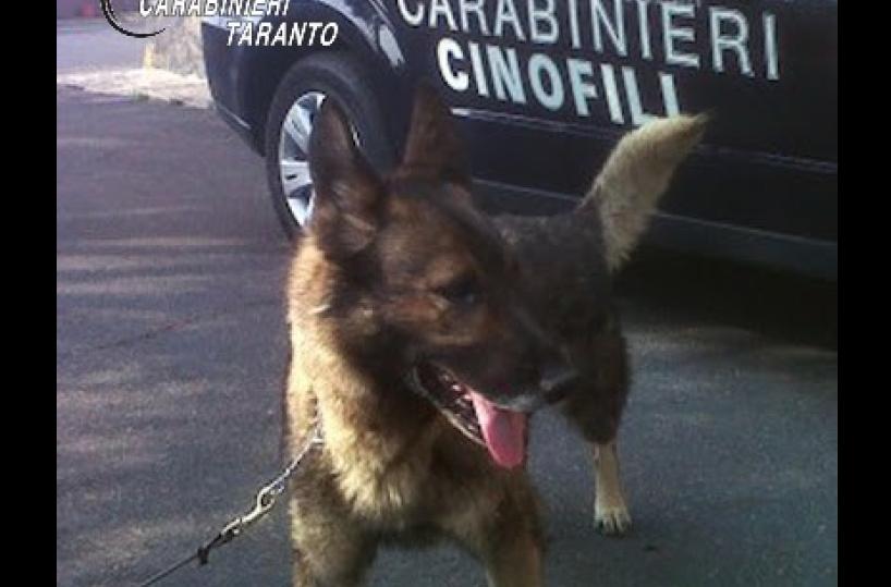 Taranto, nascondono cocaina ed eroina nell'armadio: arrestati marito e moglie