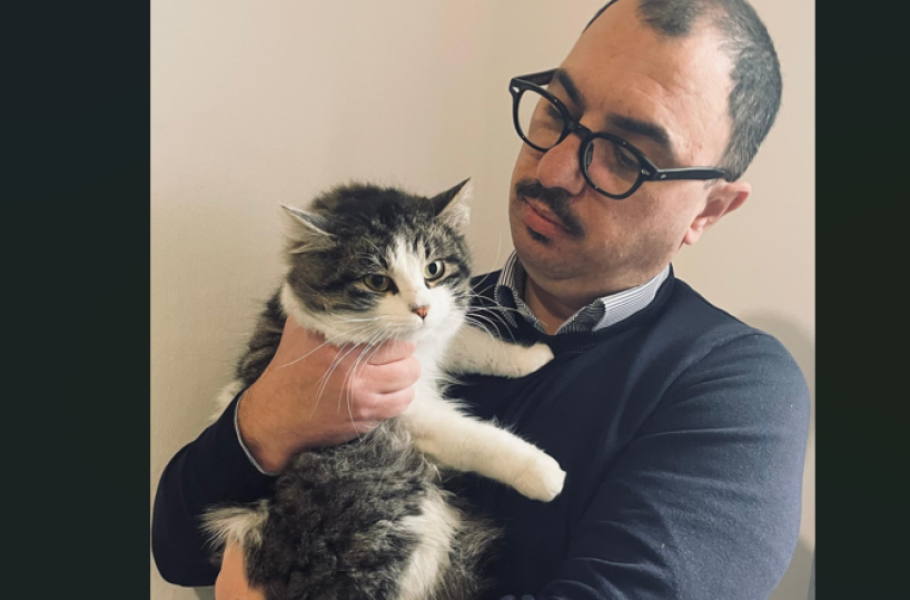 Galatina, 1000 chili di croccantini per i gatti randagi dall'amministrazione comunale 