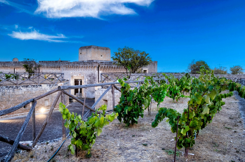 &laquo;Cupertinum&raquo;, i primi 90 anni