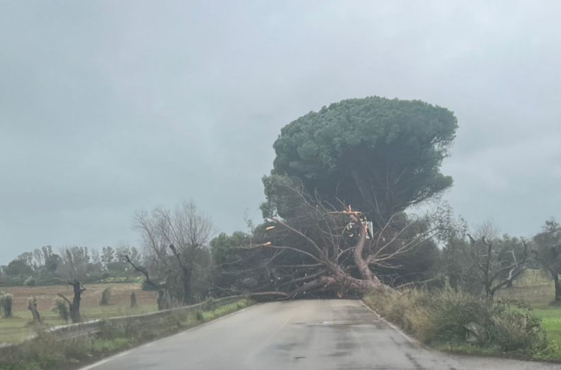Frigole è senza acqua corrente. La richiesta del consigliere Rotundo: «Ora intervenga il Comune»