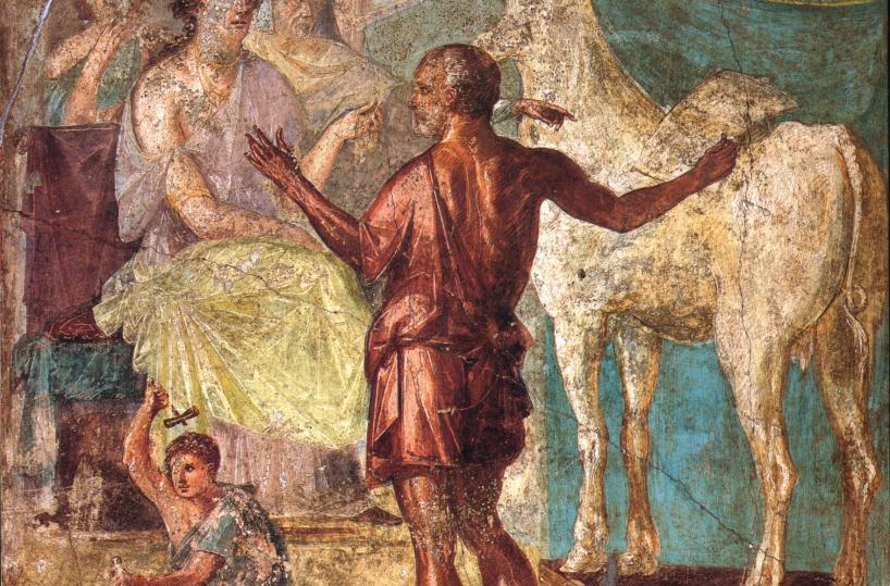 Quelle maledette ali: un Labirinto di grane