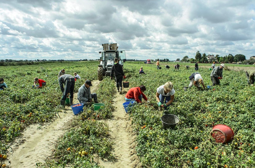 Foggia, le produzioni agro industriali sono a rischio per mancanza di acqua
