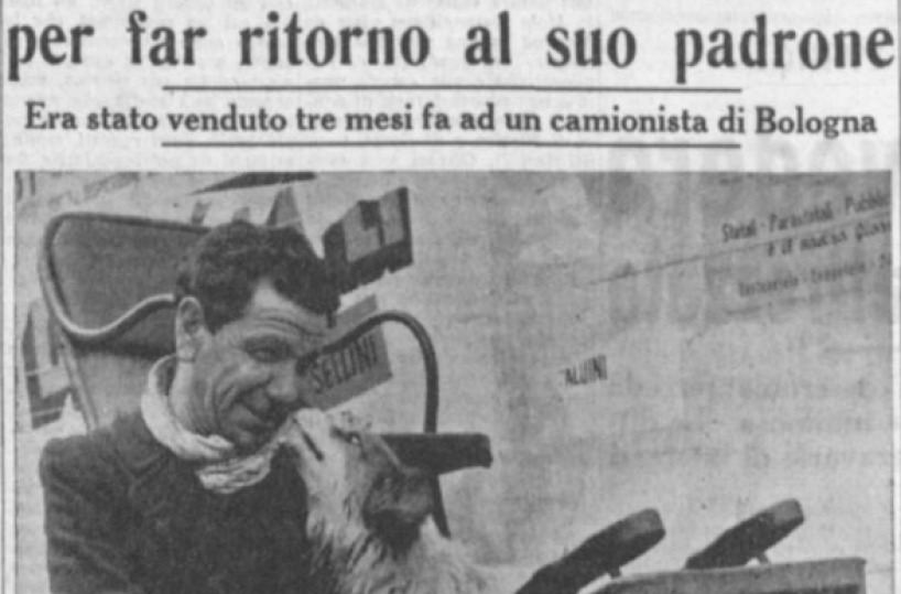 Attraversò l'Italia per tornare a Bari dal suo padrone: nel marzo del 1954 la favola di Fiorino
