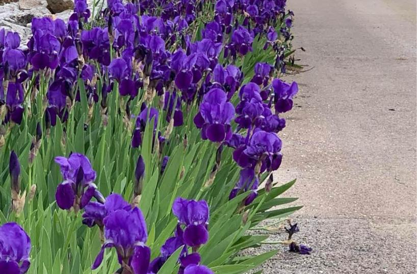 La foto del giorno del 23 marzo 2025