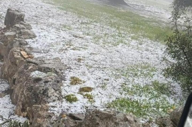 Ondata di maltempo in Puglia, bollettino di guerra nelle campagne: la grandine ha distrutto i raccolti