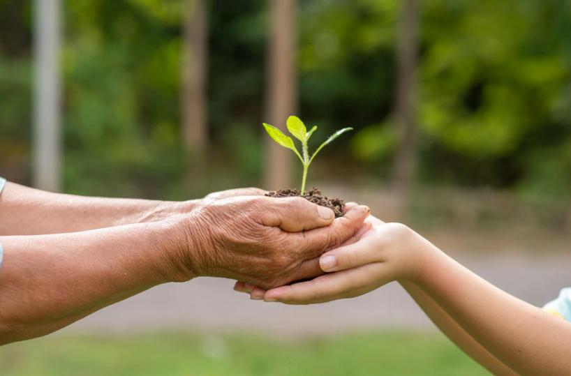 Quella generazione di «eco-preoccupati»