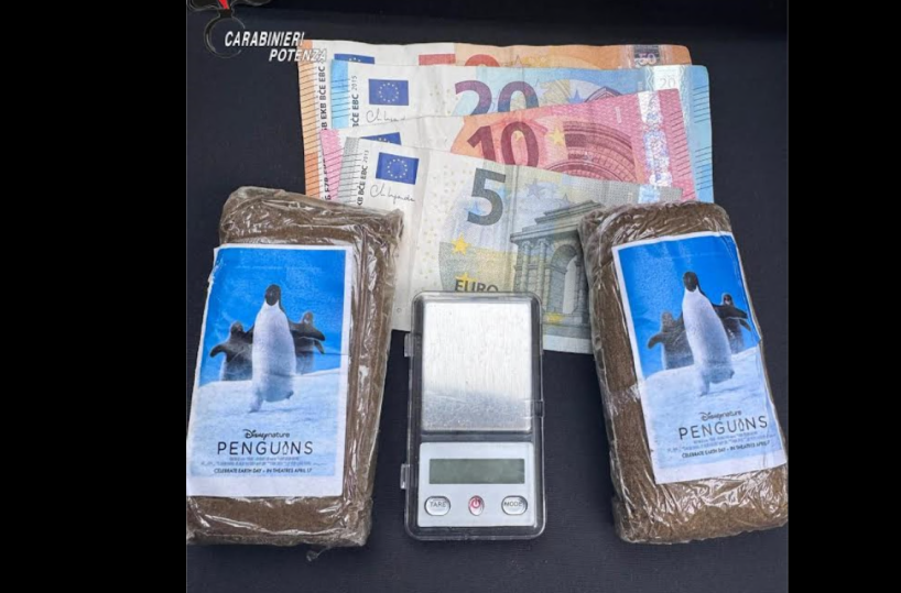 Potenza, i carabinieri arrestano un 32enne di origini pakistane per spaccio di droga