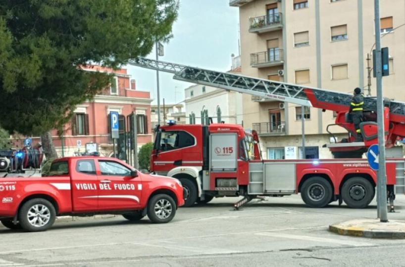 Conversano, raffiche di vento fino a 70km/h flagellano la città: rami dei pini spezzati, vigili del fuoco in azione