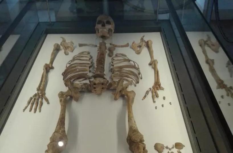 Madre del paleolitico di Ostuni, dopo oltre 30 anni scoperto il sesso del feto: era un maschio