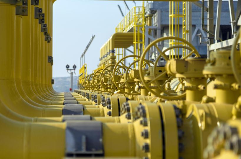 Tap, a Lecce tutti assolti per la costruzione del gasdotto. «Ma l’espianto degli ulivi non era autorizzato»