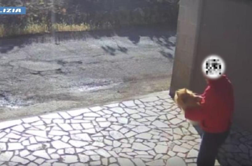 Ruba un volpino dal giardino di una casa a Manduria: padroni disperati, 59enne rintracciato e denunciato