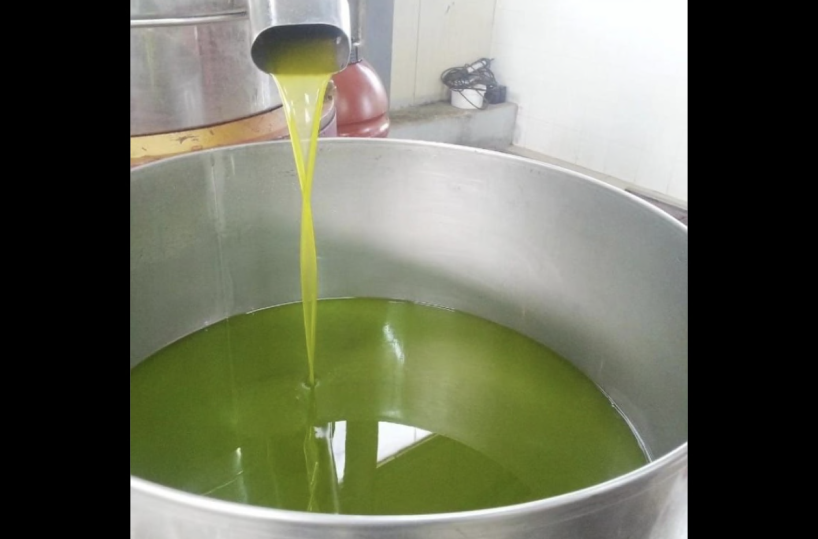 Extravergine a prova di contraffazione: nasce il nuovo olio di «Terra d’Otranto»