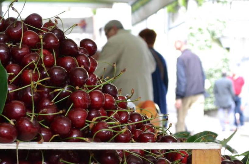 A Conversano e a Turi il «ponte» del 2 giugno nel segno di «sua maestà la ciliegia»