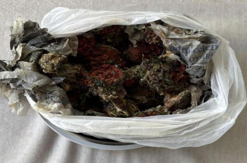 A Latiano ostriche di dubbia provenienza: multato il ristoratore