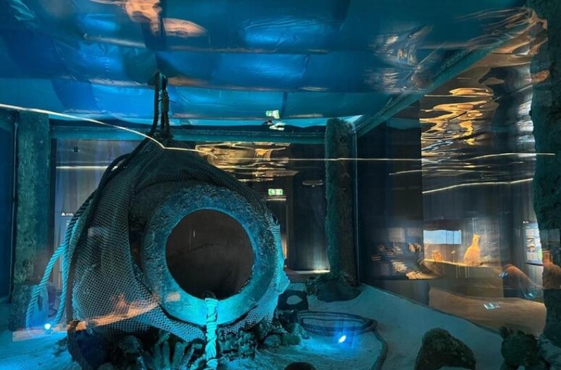 Archeologia, il mare come chiave di lettura per riscoprire la storia della Puglia