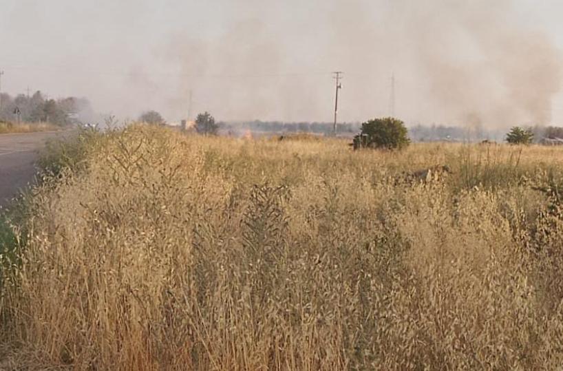 Casarano, rogo nei pressi della zona industriale