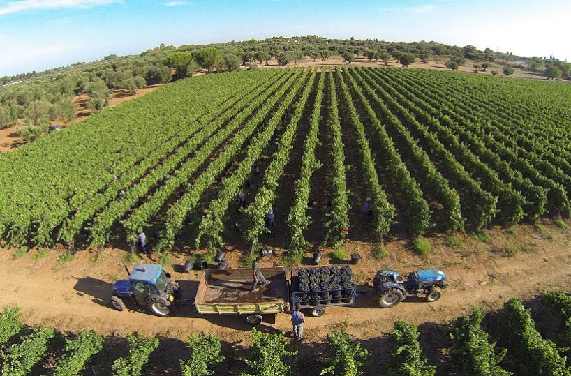  Ecco cosa fare in Puglia e Basilicata nel weekend dal 13 all'15 giugno