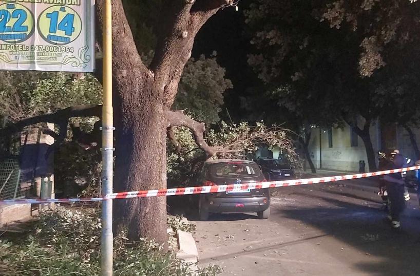 Foggia, albero crolla su un'auto accanto alla villa comunale: poco prima erano scesi gli occupanti