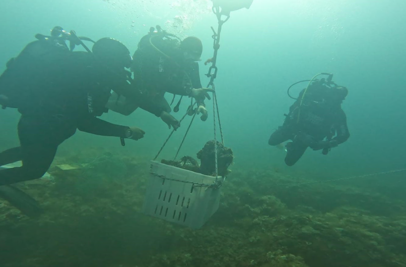 Un antico busto di bronzo riemerge dal mare di Leuca