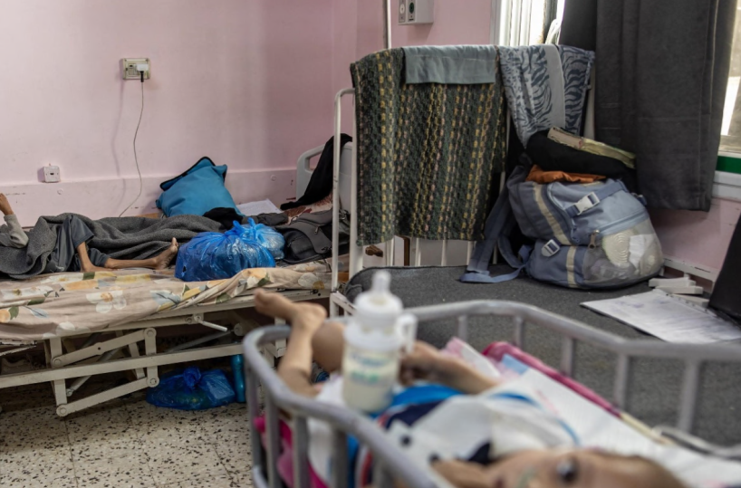 Il Senato Accademico di UniSalento sostiene la candidatura dei bambini di Gaza al Premio Nobel per la Pace 2026
