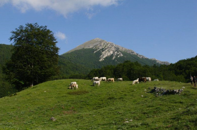 Approvato il nuovo piano del parco: una svolta per il futuro del Pollino