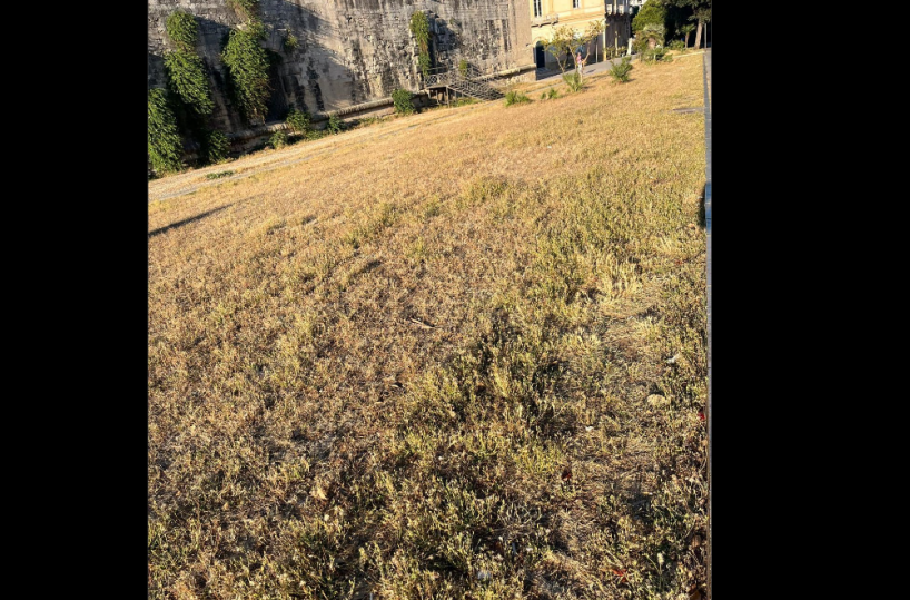 Lupiae Servizi, a Lecce il sindaco cambia tutto: «Priorità al verde»