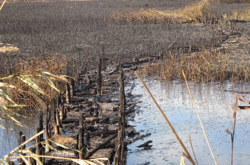 Foggia, tavolo in Prefettura per gli incendi della Capitanata: servono più uomini e mezzi