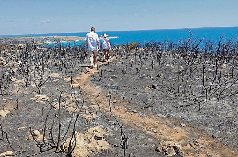 In Salento la vergogna del «piro-paesaggio»: indifferenza sugli incendi