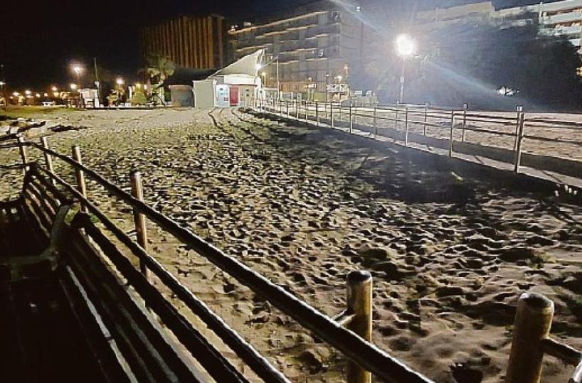 Aggressione brutale a Pane e Pomodoro: 20enne ferito gravemente a colpi di bottiglia