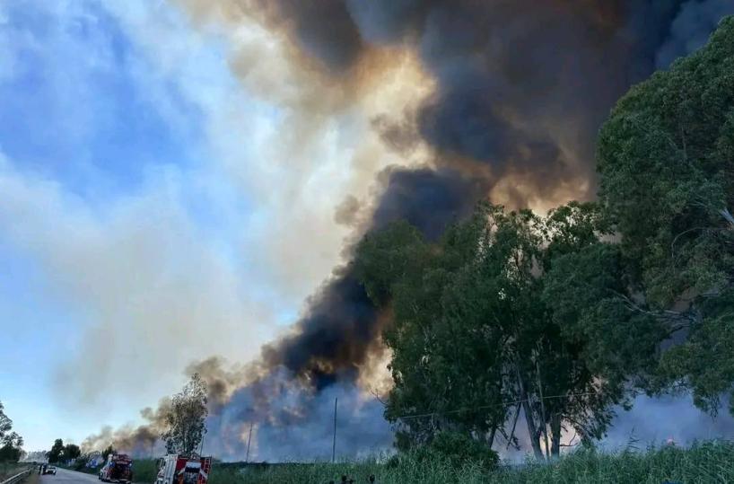L'allarme del Wwf: «Bruciata e abbandonata, così l’Oasi Lago Salso rischia di scomparire per sempre»