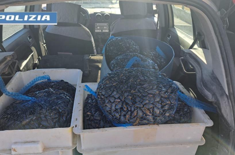 Taranto, in auto con 150 chili di cozze: denunciato pregiudicato 49enne