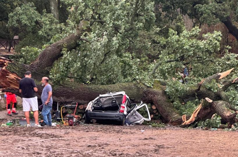 In Basilicata le ambulanze arrivano dopo 30 minuti: «Siamo in maglia nera»